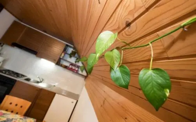 Turistična Kmetija Gartner 3a