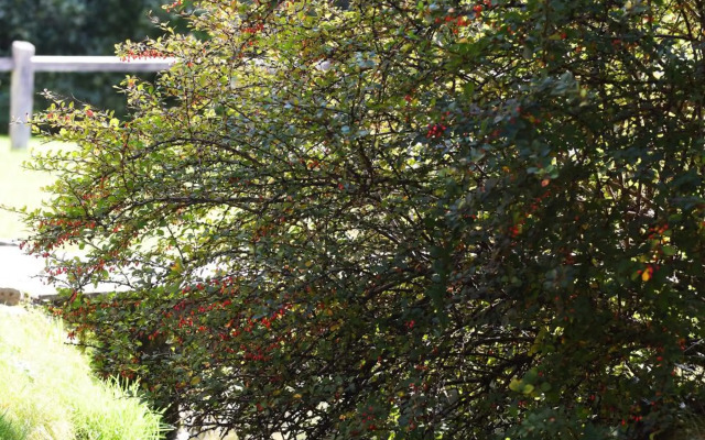 Turisticna Kmetija Seruga