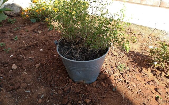 Xenios Torre Suda B&B