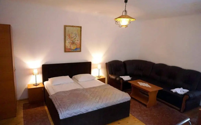 Guesthouse Casa Baciu