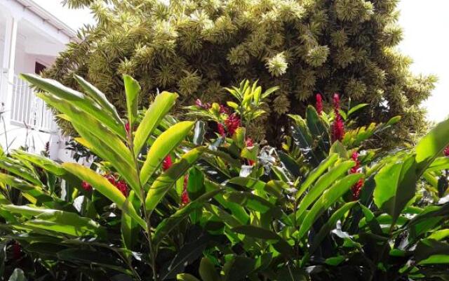 Les jardins de Valentin