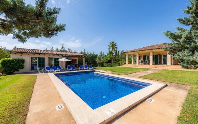 La Vinya del Beato 1950