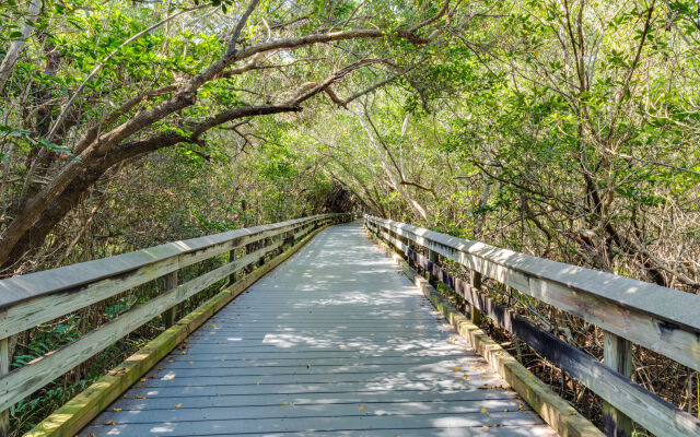 Naples Grande Beach Resort