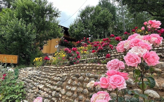 Haven Resort Paro