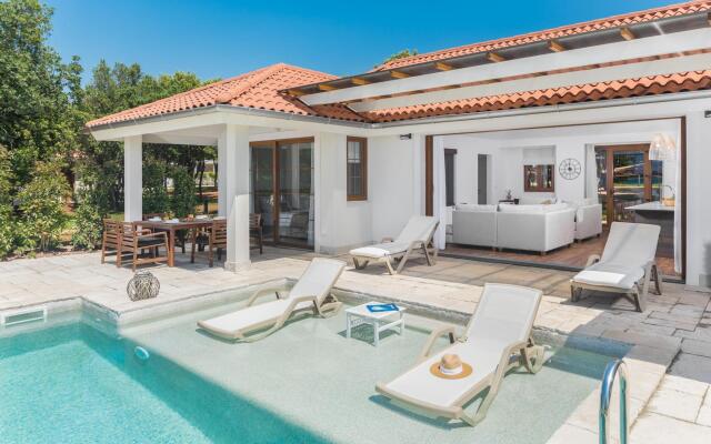 Porto Bus Beachfront 1