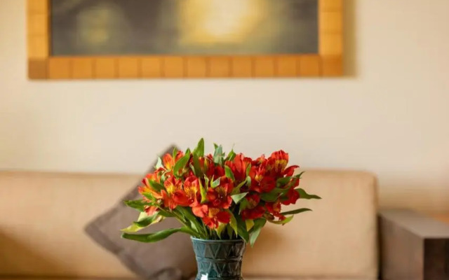 Terre Brune Hotel