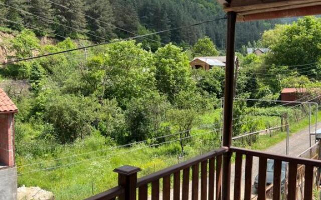 Dilijan Mountain View, 3 bedroom house