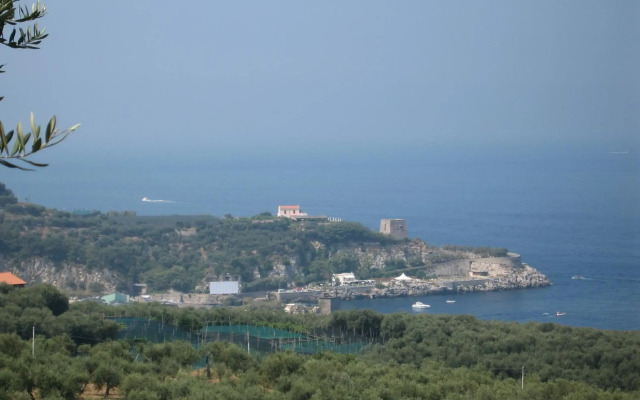 Hotel Villa Igea