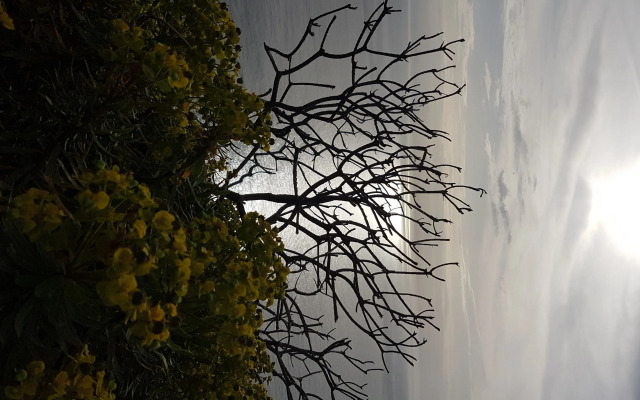 Il Rifugio B&B Capri