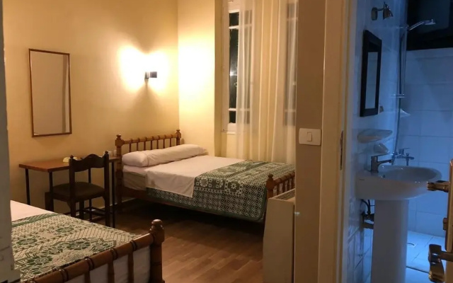 Tulip Hotel