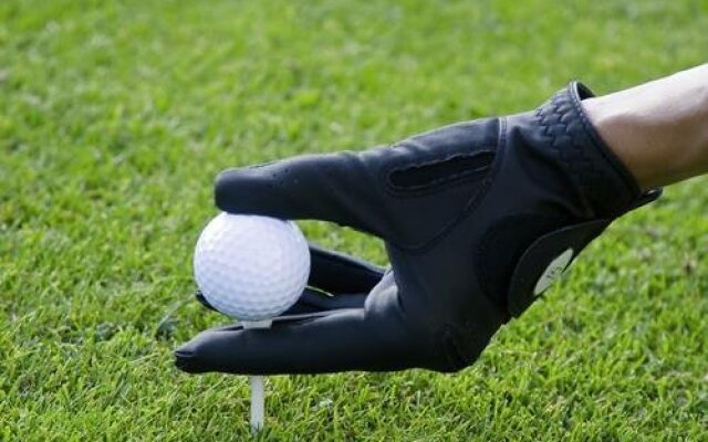 Ringhotel Der Waldkater