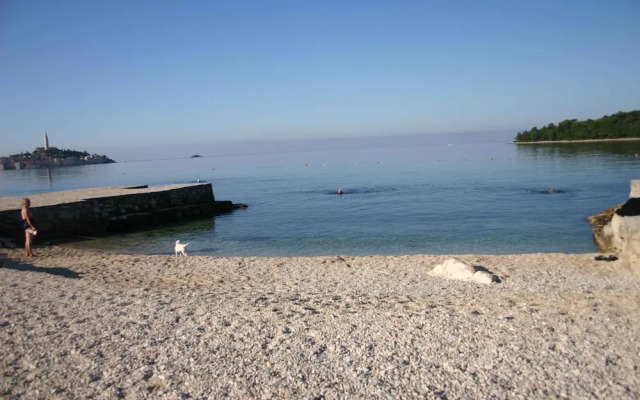 Apartments in Rovinj/istrien 11491