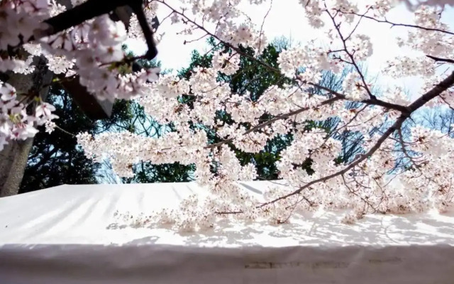 Tora Hotel Ueno - Vacation STAY 52806v