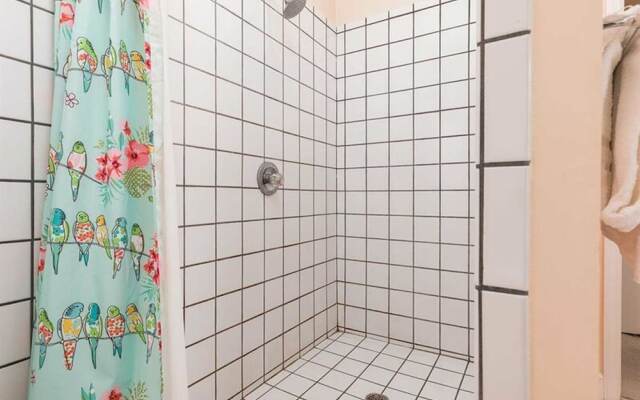 Dolphin View by Meyer Vacation Rentals