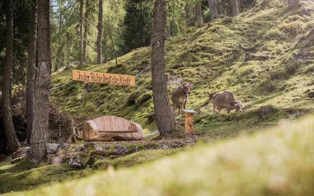 Alpenhotel Schlickeralm