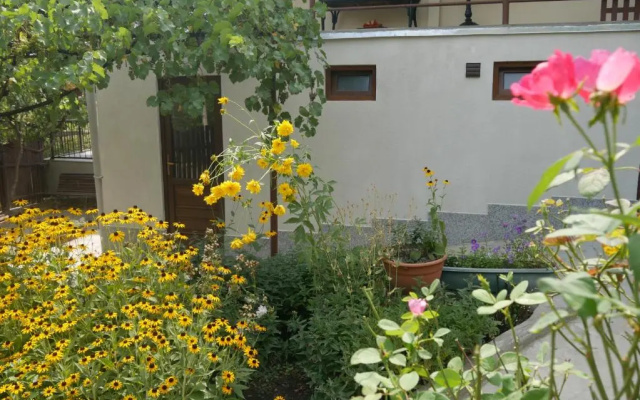 Luxury Apartment at Pirosmani 22 in central Borjomi