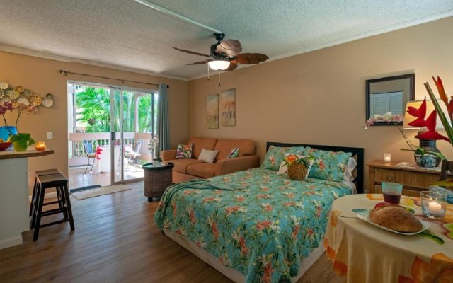Sandpiper 120B-as seen on HGTV's Hawaii Life! Affordable with pool, hot tub, BBQ