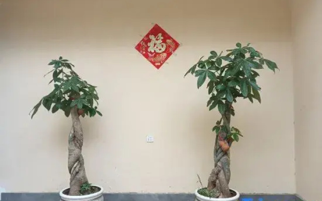 Mengxiangju Homestay (Wulong Lake Town)