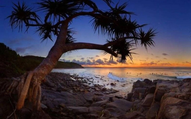 Bayona 1 Little Cove