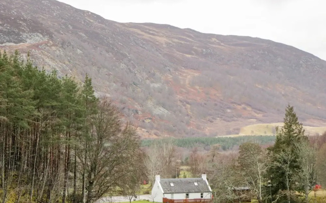 Wildcat Lodge