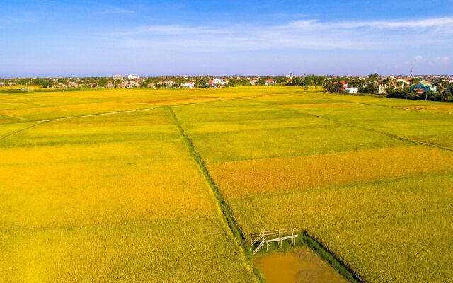 Savanna Hoi An Villa