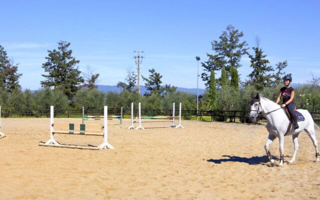 Tipologia Bilocale 15110