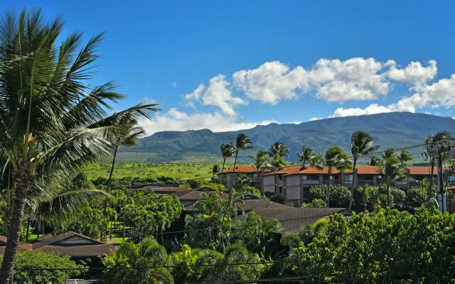 Kaleialoha 402 in Lahaina
