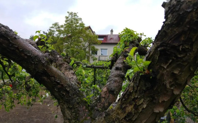 Rent0nline Brwinow Rooms