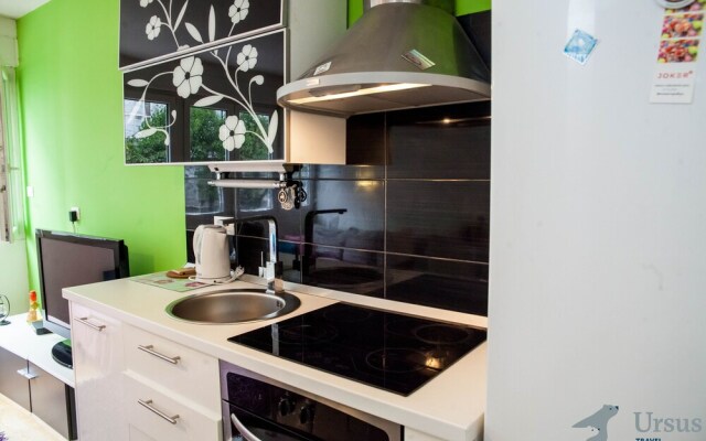 Apartment Vita