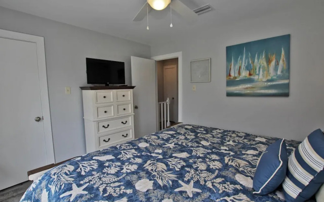 Sand Dollar by Youngs Suncoast