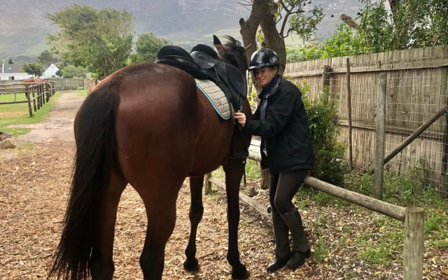 Noordhoek The Lookout