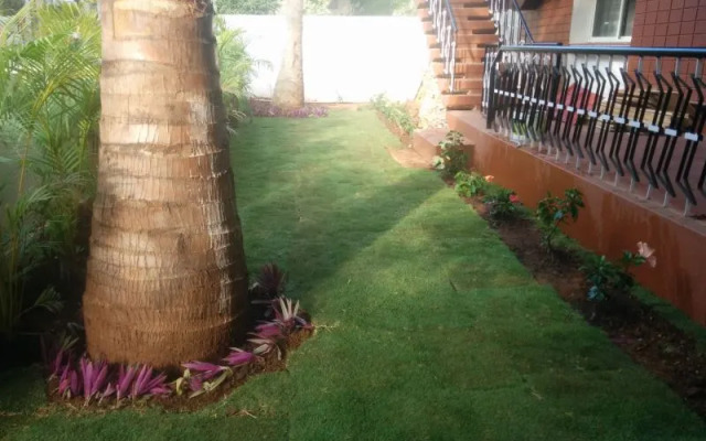 Mangrove Suites