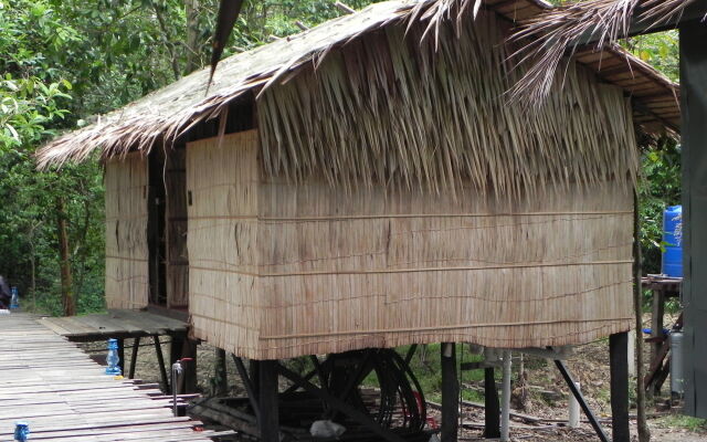 Borneo Natural Sukau Bilit Resort