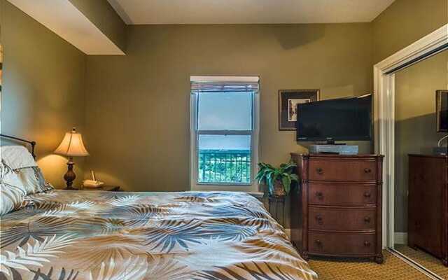 Ariel Dunes Ii-808 - 1149868