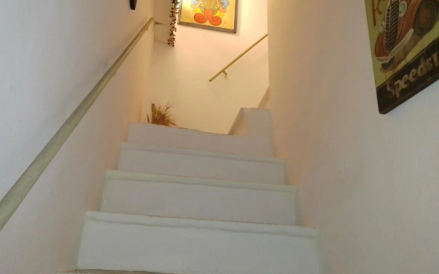 La casa della pecora nera