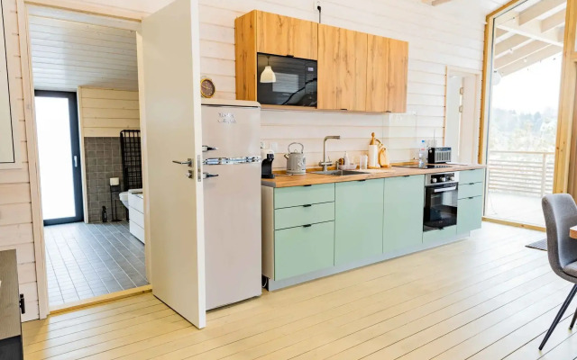 Obkomovskaya dacha