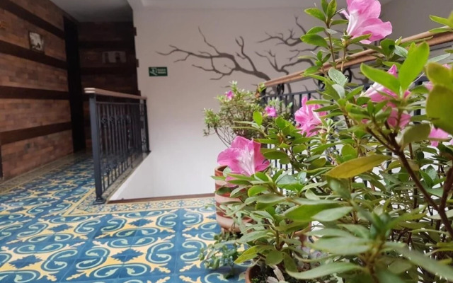 The Cranky Croc Hostel