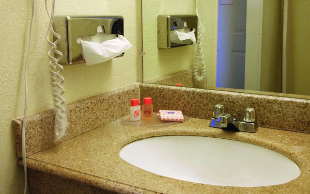 Hotel McCoy - Art, Libations, Pool Society