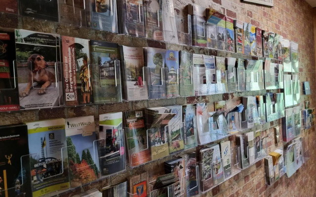 Ferienwohnung - Waldwasser mit Waldblick