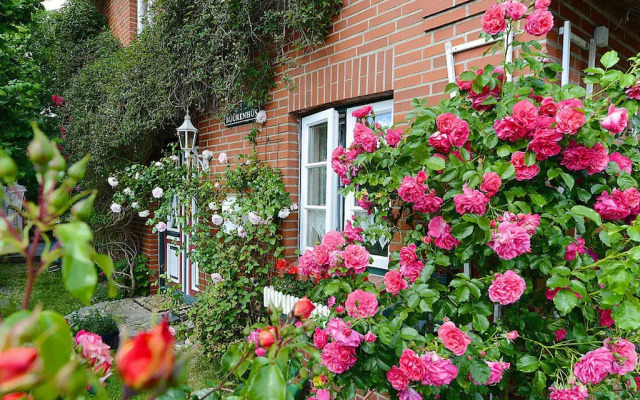 Holiday Home, Oevenum