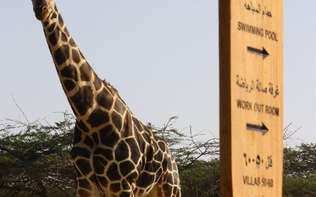 Anantara Sir Bani Yas Island Resorts