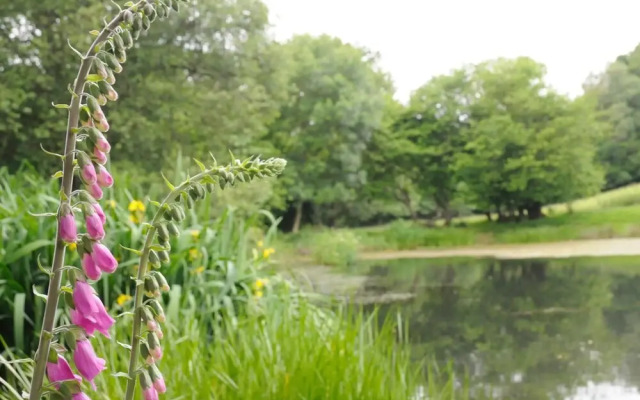 Park Style Mill