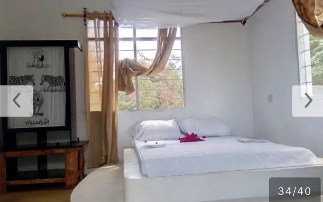 Sea Front Mafia Lodge