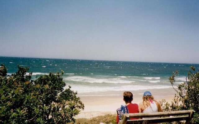 An Oyster on the Beach Sawtell