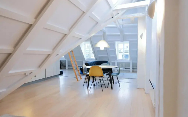 Impressive Penthouse in the Heart of Copenhagen
