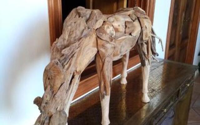 Ziggy's Mountain Retreat