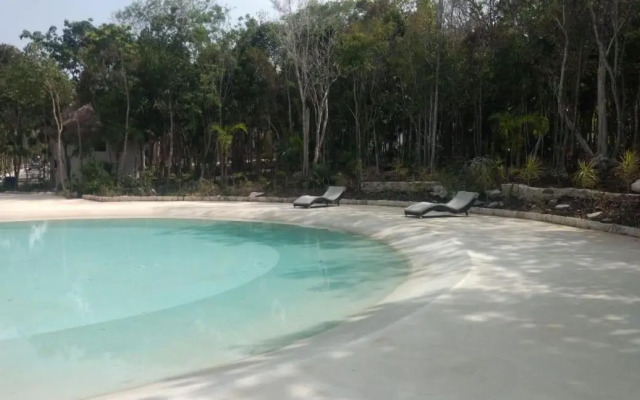 5 albercas Sanitizada Exclusiva Privada