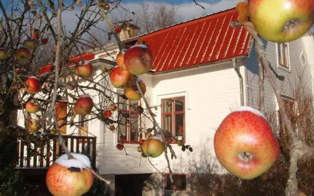 Mellangården i Äpplerum