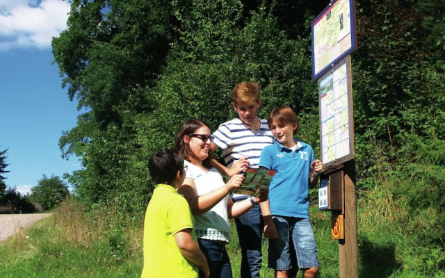 Detached, wooden bungalow with a terrace, in a wooded area