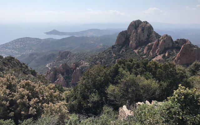 Best Location In Cannes